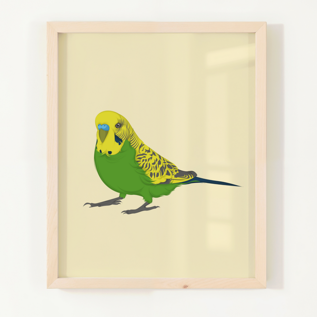 Pet Portrait