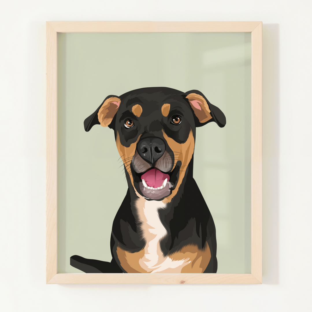 Pet Portrait